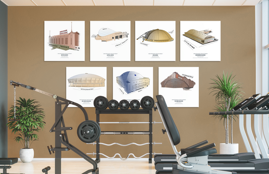 Volume II: 7 Iconic Arenas (24 x 24 Aluminum Prints)