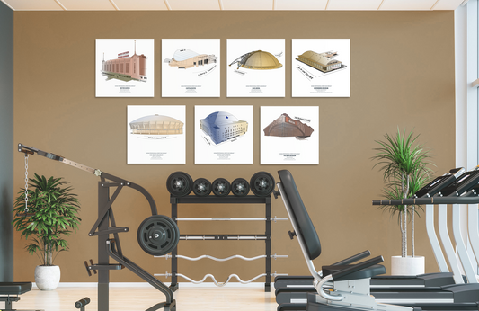 Volume II: 7 Iconic Arenas (20x20 Aluminum Prints)