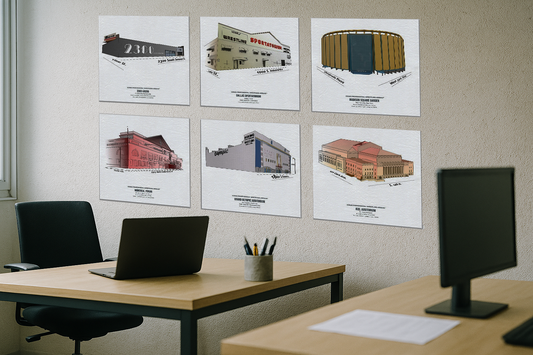 Volume I: 6 Iconic Arenas (20 x 20 Canvas)